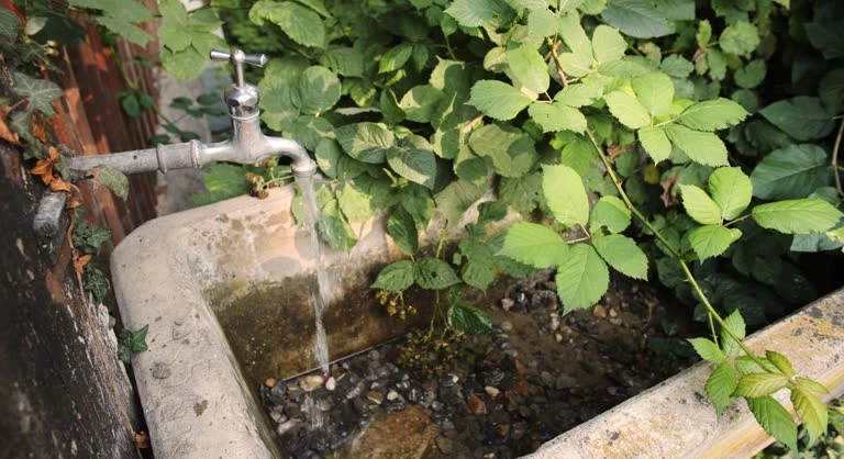 grifos de agua fría