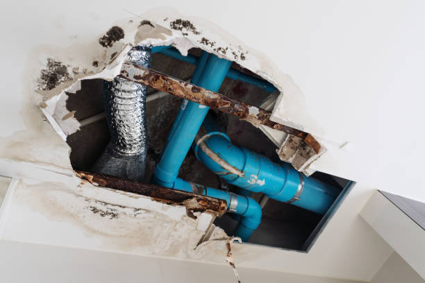 optimal PPR pipe size for whole house water supply